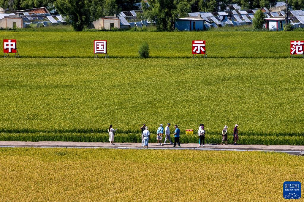 新华全媒+丨智慧农田让农业观光旅游玩出新花样