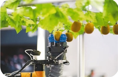2022世界机器人博览会“机器人+农业”区域展示的一款智能采摘机器人。新华社记者 鞠焕宗摄