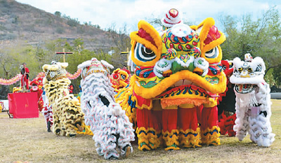 毛里求斯唐人街基金会为系列春节庆祝活动准备的舞狮。图片为受访者提供