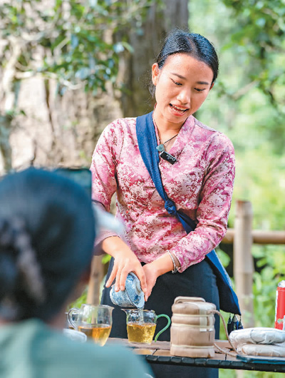 一名傣族姑娘在景迈山大平掌古茶林直播卖茶。
