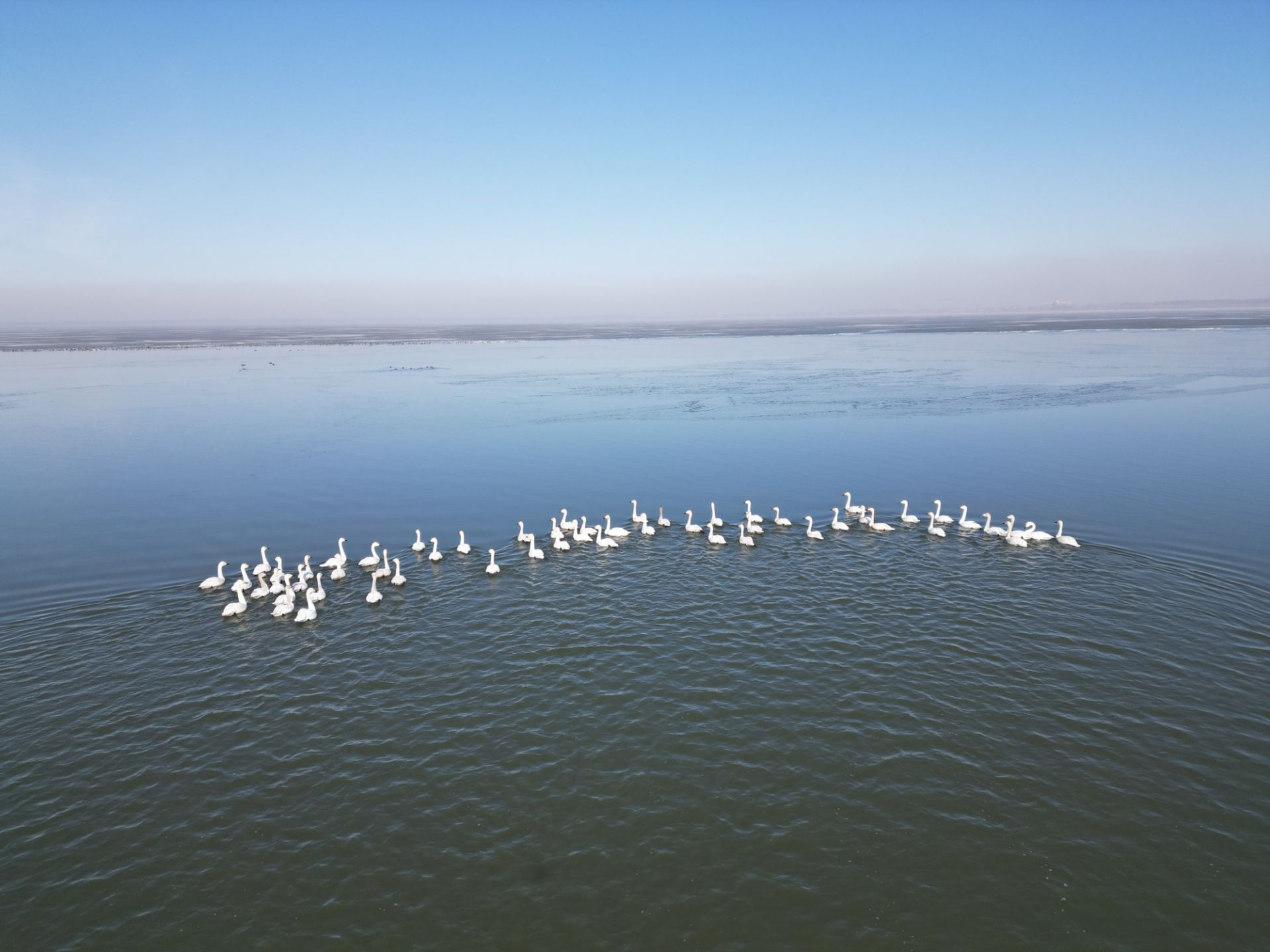 康平卧龙湖自然保护区图片