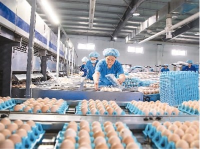 图为5月30日，在江苏省海安市滨海新区的天成现代农业科技有限公司天晟牧园集蛋中心内，工人们正在智能化生产线上分拣新鲜的鸡蛋。翟慧勇摄（人民视觉）