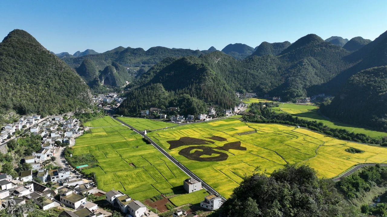 天博体育官方平台入口从富春山居到万峰山居｜乡村振兴让美丽中国画卷徐徐展开(图3)