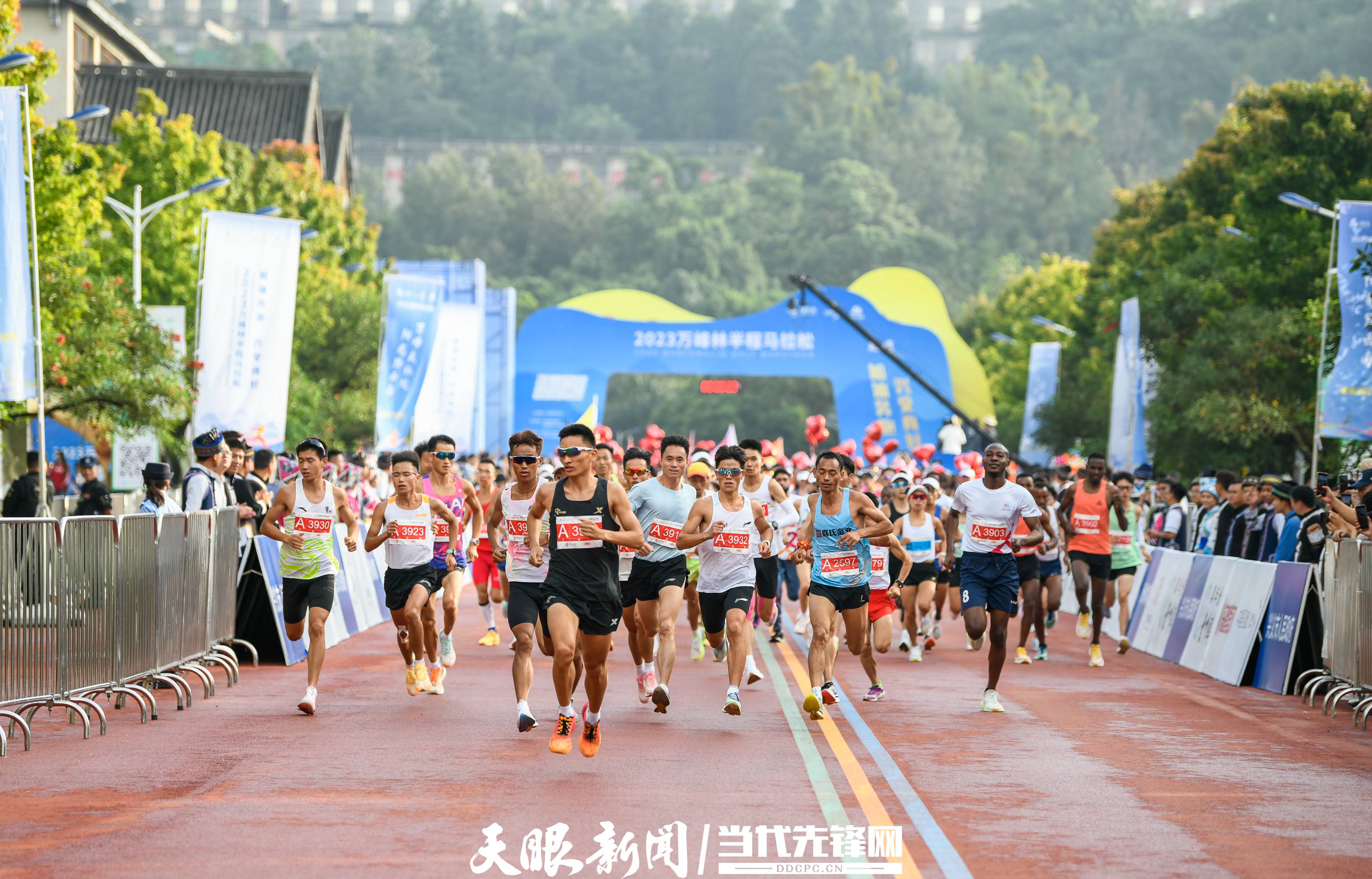 天博体育官方平台入口从富春山居到万峰山居｜乡村振兴让美丽中国画卷徐徐展开(图10)