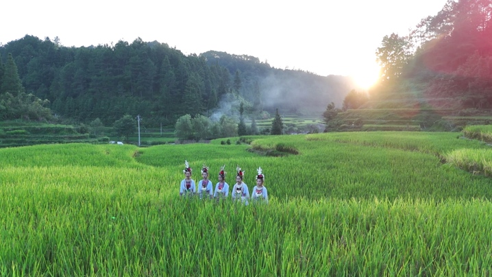 暧暧远人村｜自然为笔 农耕作墨 贵州从江增冲村勾勒古村振兴新画卷