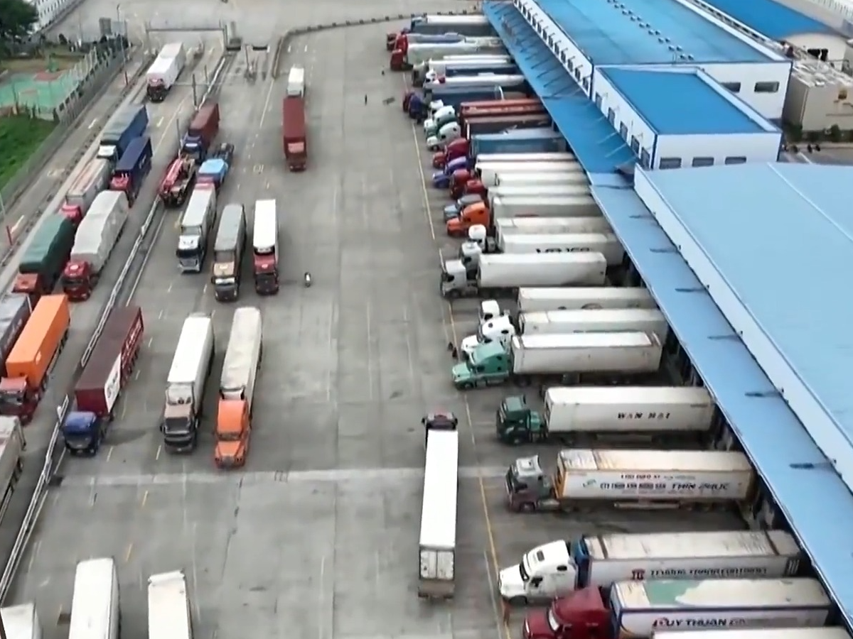 30%以上增速、127条国际货运航线……从经济数据看活力中国