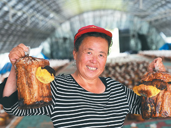 桑黄：给好日子镶道“金边”（道地药材巡礼·吉林篇）