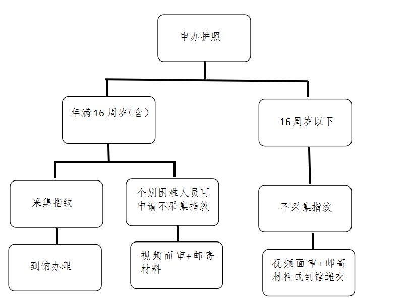 中国驻意大利使馆将于10月21日起全面恢复到馆办照采集指纹