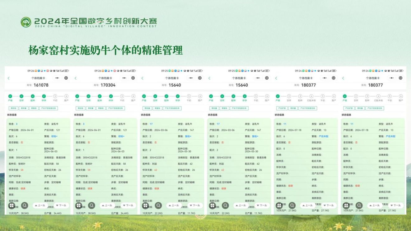 场景、机制、技术：数字化为乡村振兴持续赋能