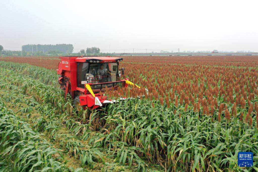 【学习+】“保障国家粮食安全是一个永恒课题”