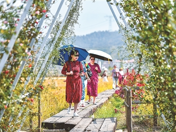 体验村味生活 乐享乡村之美（走进乡土中国）