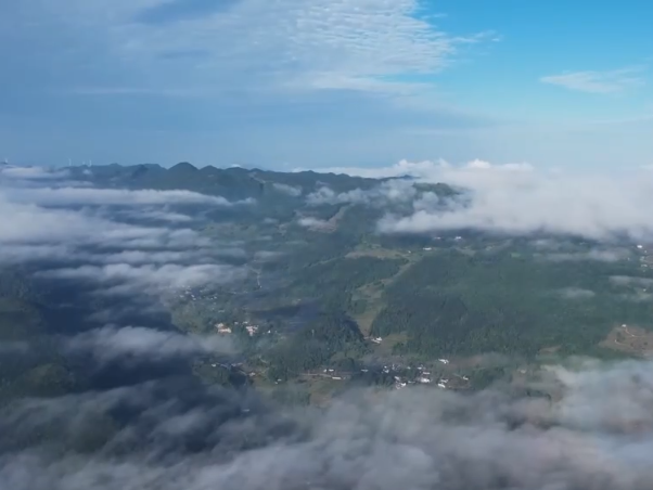 山川秀美、群鸟翔集 一幅幅绚丽的秋日画卷在神州大地展开