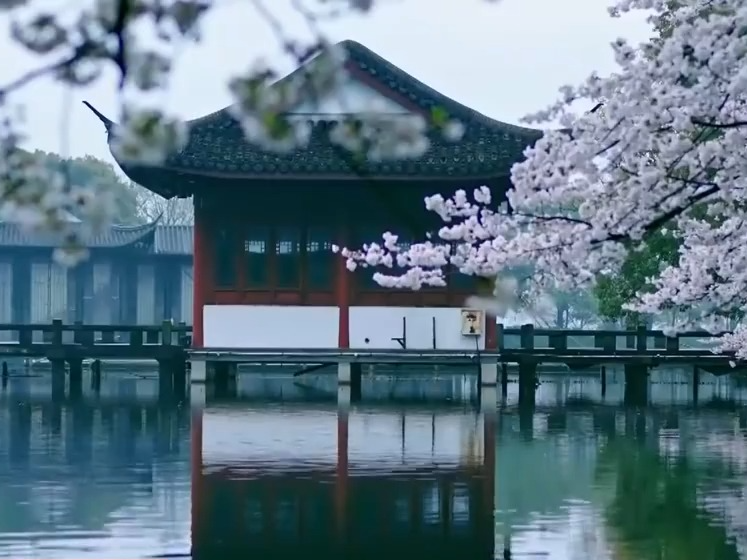 文化中国行丨“朝昏晴雨，四序总宜” 被西湖的中式美学硬控了