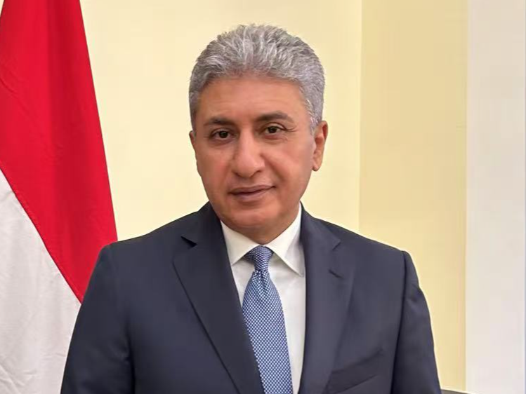 埃及旅游和文物部长法特希：“金砖合作将对旅游业产生积极影响”