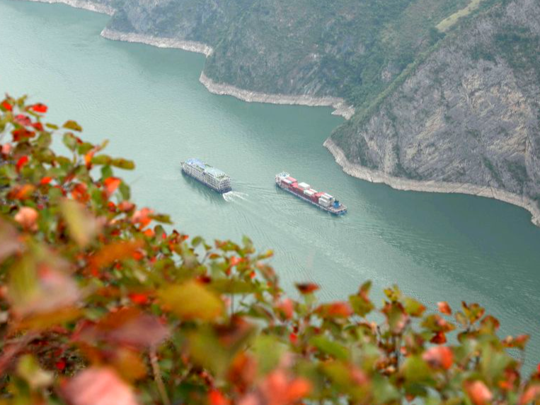 诗意中国｜红叶黄花秋意晚