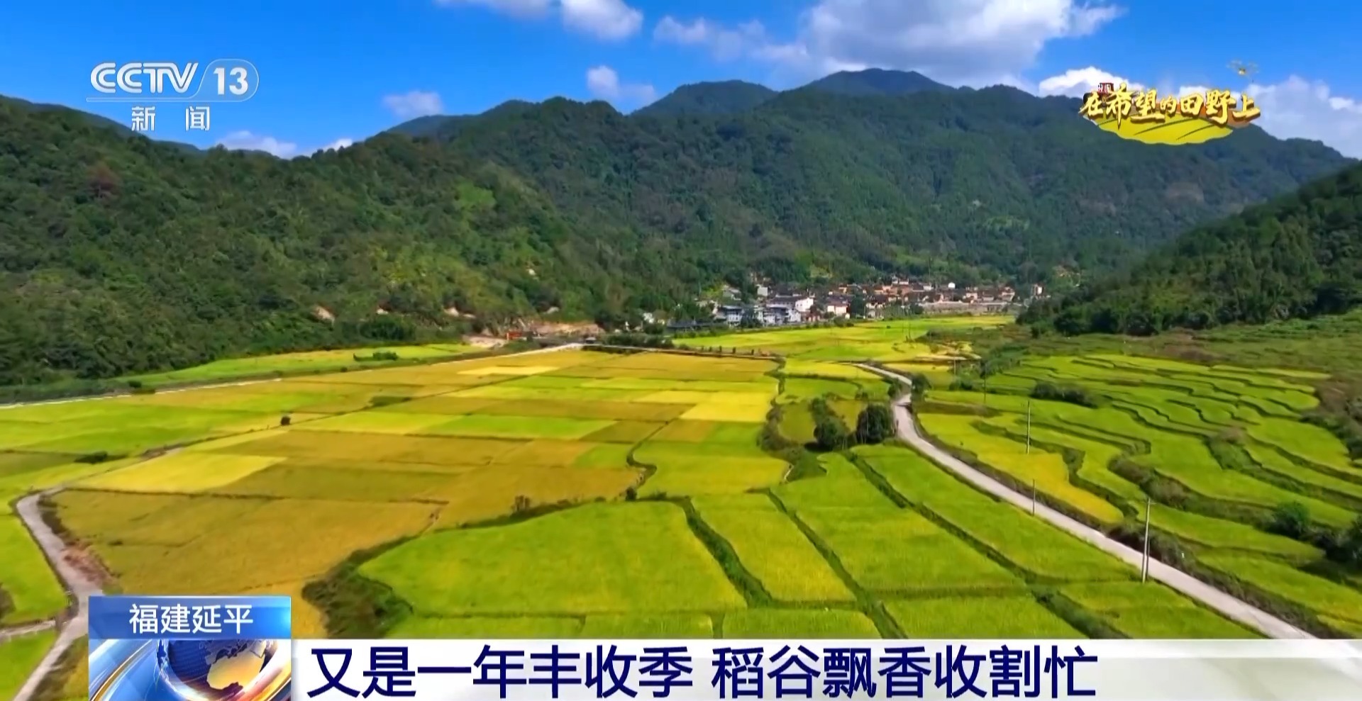 北玉米南水稻 田间地头一派好“丰”景