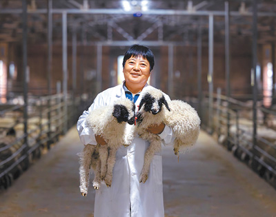 西海固“长出”红寺堡区（新时代画卷）