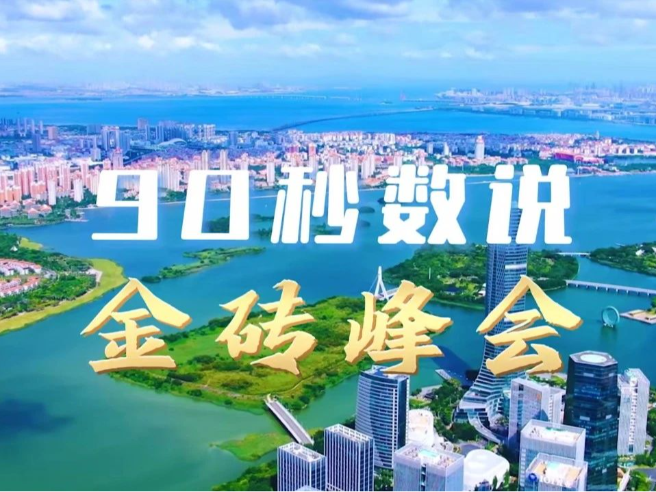 90秒数说金砖峰会