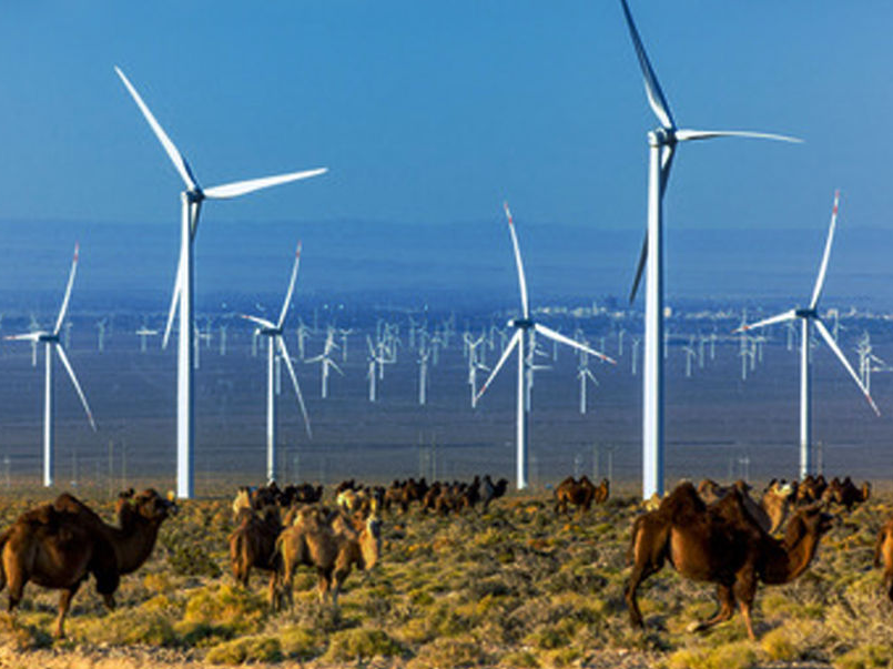 新时代中国调研行之看区域·西部篇｜“最”在甘肃