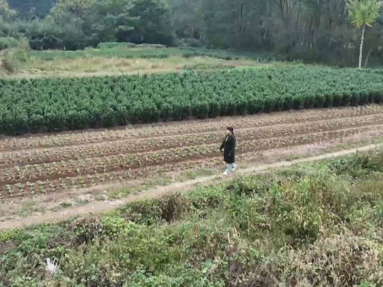 文化中国行丨你敬三分 我让三分 礼让出了“六尺巷”