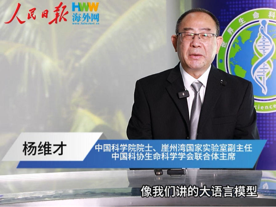 中国科学院院士杨维才：人工智能对科学研究有非常大的促进作用