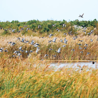 秋日里的中国多姿多彩