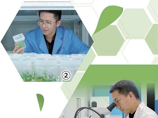 在巴山渝水育良种（青春派）