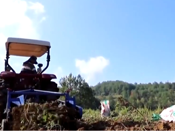 流“金”沃野奏响丰收“欢歌” 好“丰”景有了全新“打开方式”