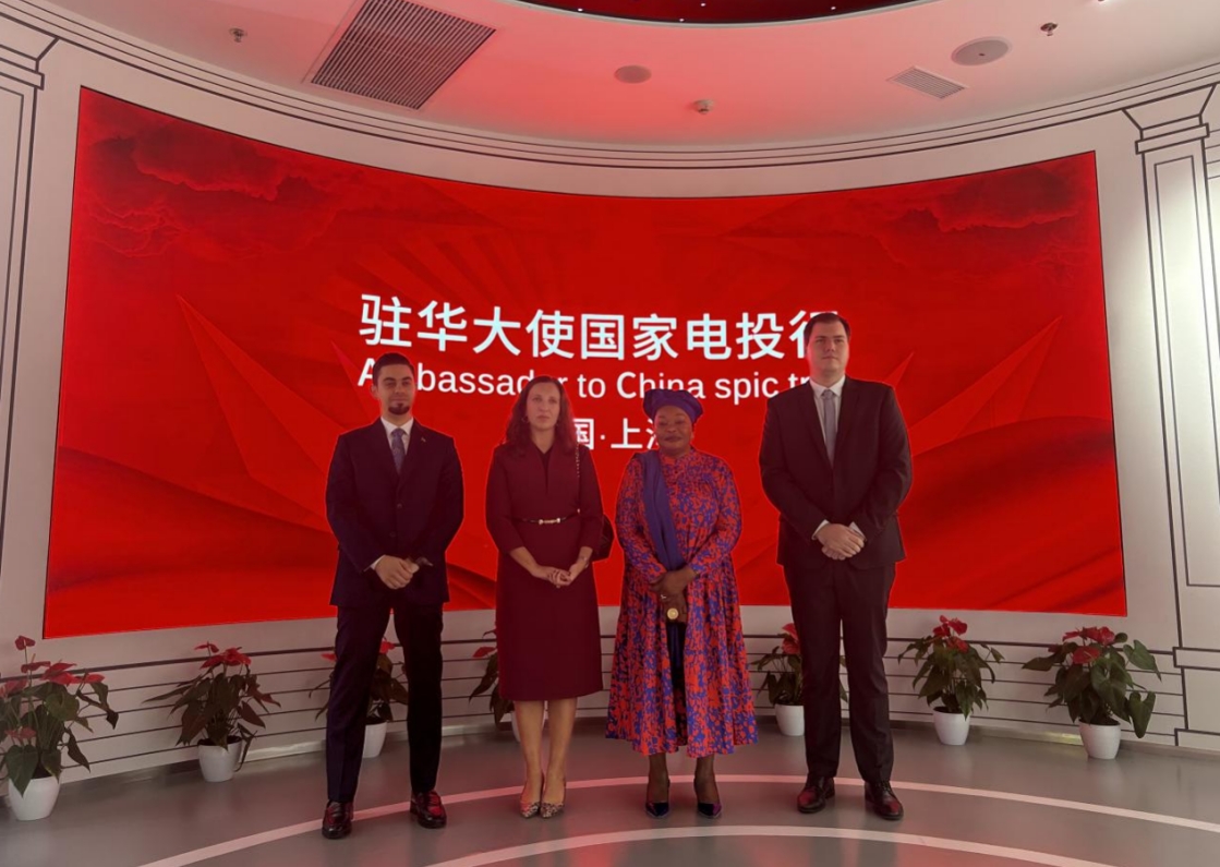 四国驻华使节走进上海，了解中国电力新发展