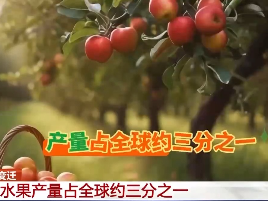 一组数据看变迁！我国水果产量占全球约三分之一