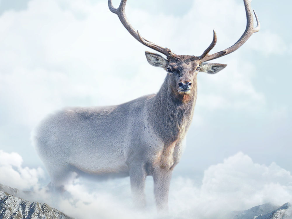 苍穹巨灵·宁夏篇