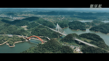 微纪录片｜桥下有人家