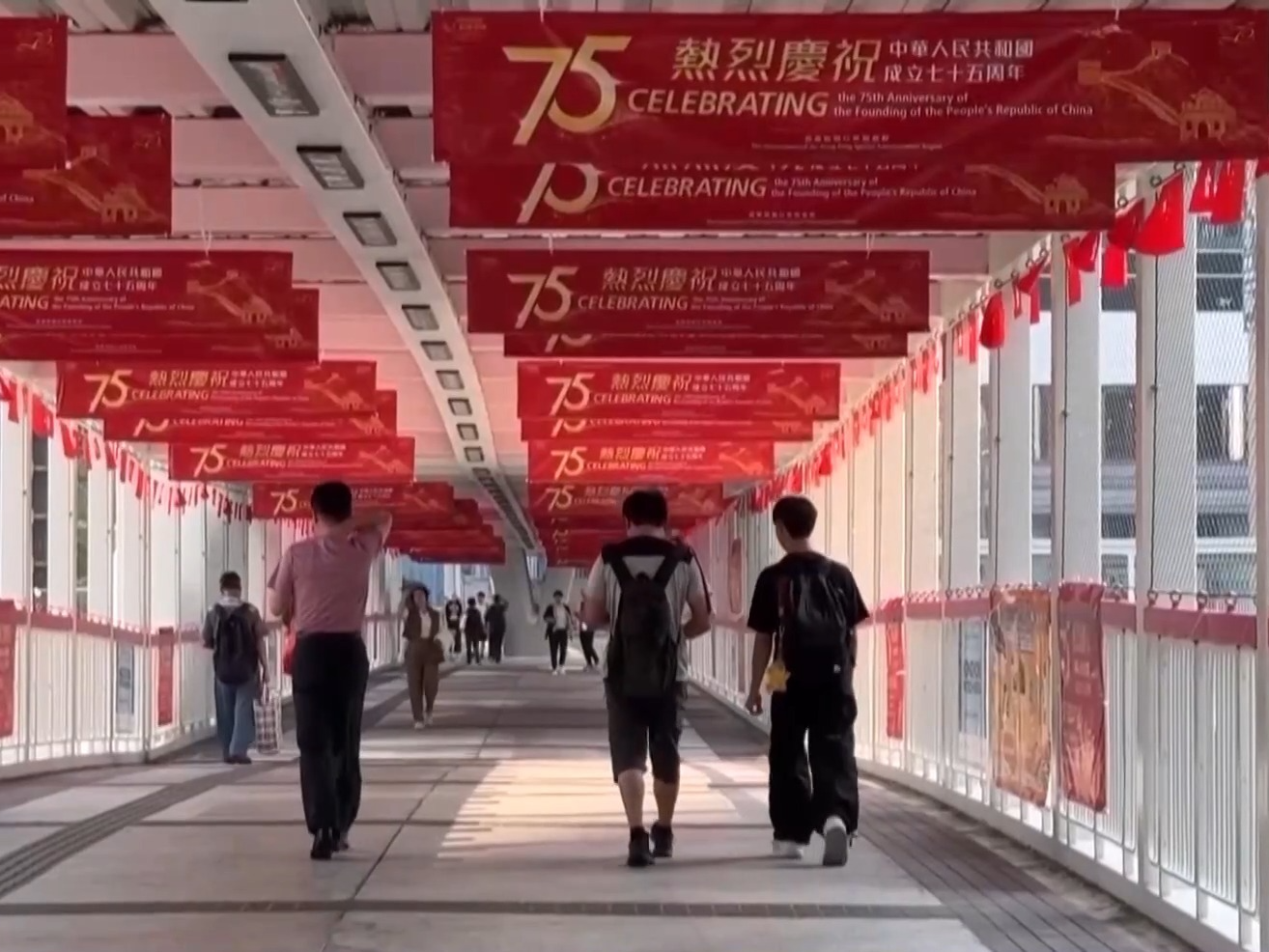 内地香港的“双向奔赴”让交通和支付如此顺畅