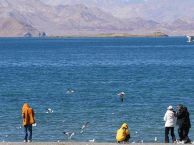 国庆假期 西藏班公湖吸引游客