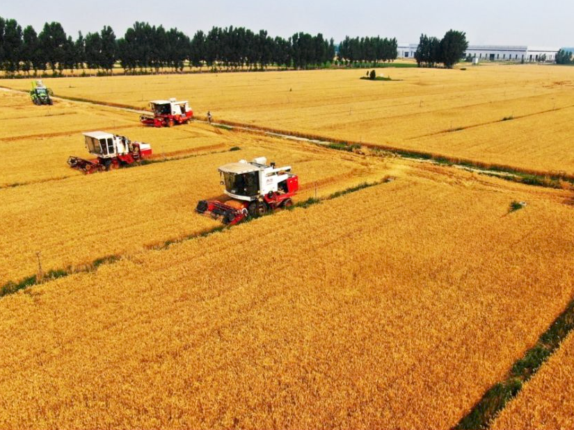 微视频｜75秒看新中国75年农业之变