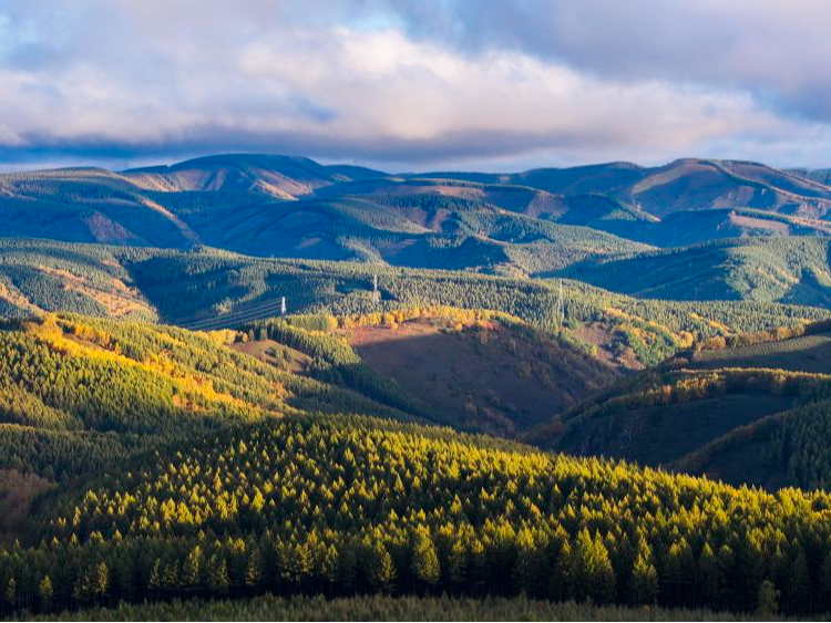 我和我的祖国｜绿水青山间的“书写”