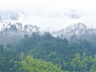 野猪种群如何调控