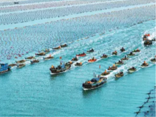 中国和印尼将深化渔业合作