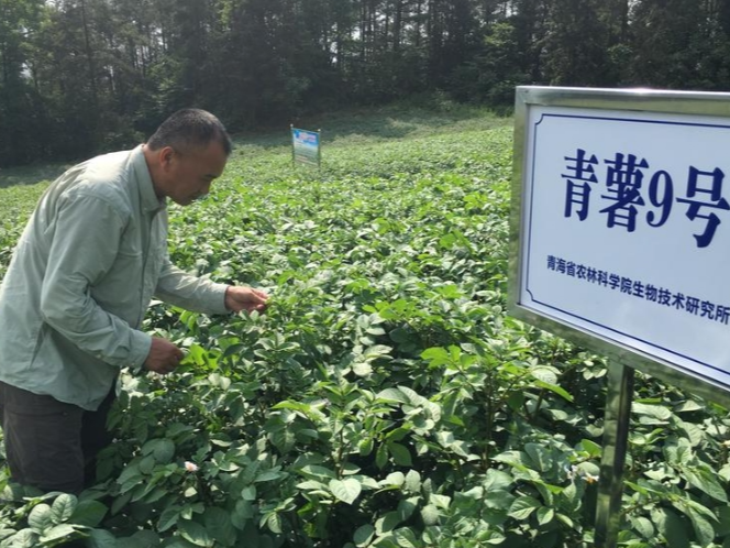 【中国那些事儿】“跨越山海到餐桌” 中秘农业合作与繁荣之路越走越宽