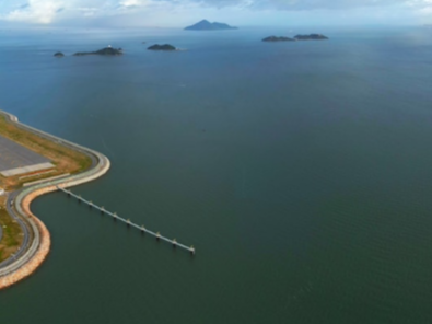 香港最大海岸公园成立 加强保育中华白海豚