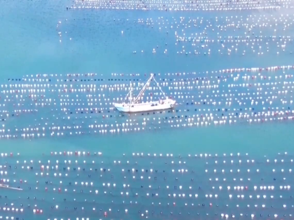 我国水产品总产量连续35年位居世界第一