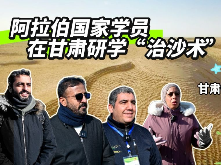 全球连线｜阿拉伯国家学员在甘肃研学“治沙术”