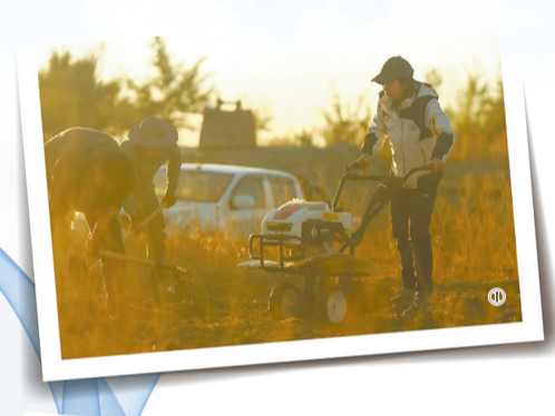 守护阿勒泰多样之美（青春派）