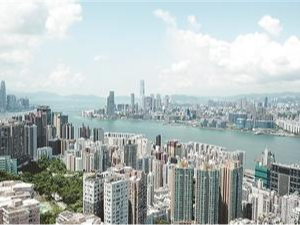 双向开放 活力迸发