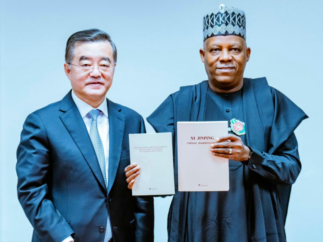 外媒：中国与尼日利亚经济合作空间广阔