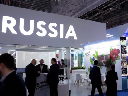 进博会吸引力强，俄罗斯乌拉尔地区企业积极参展