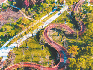 上海市民说：“格城市，阿拉真是越来越欢喜！”