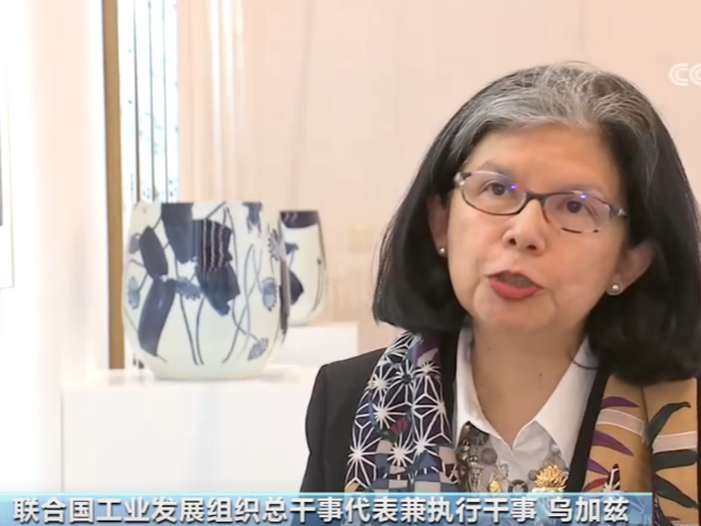 进博面对面 | 中国经验助力发展中国家工业发展