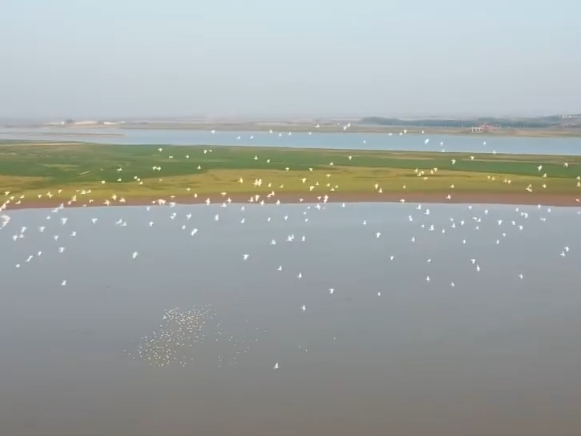 “旅行者”来做客，“美食”多样！唯美生态画卷颜值不断被“刷新”