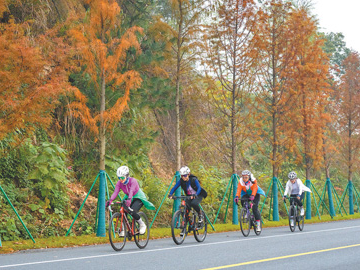 业态向“新” 活力释放（消费视窗·促进服务消费扩容升级）